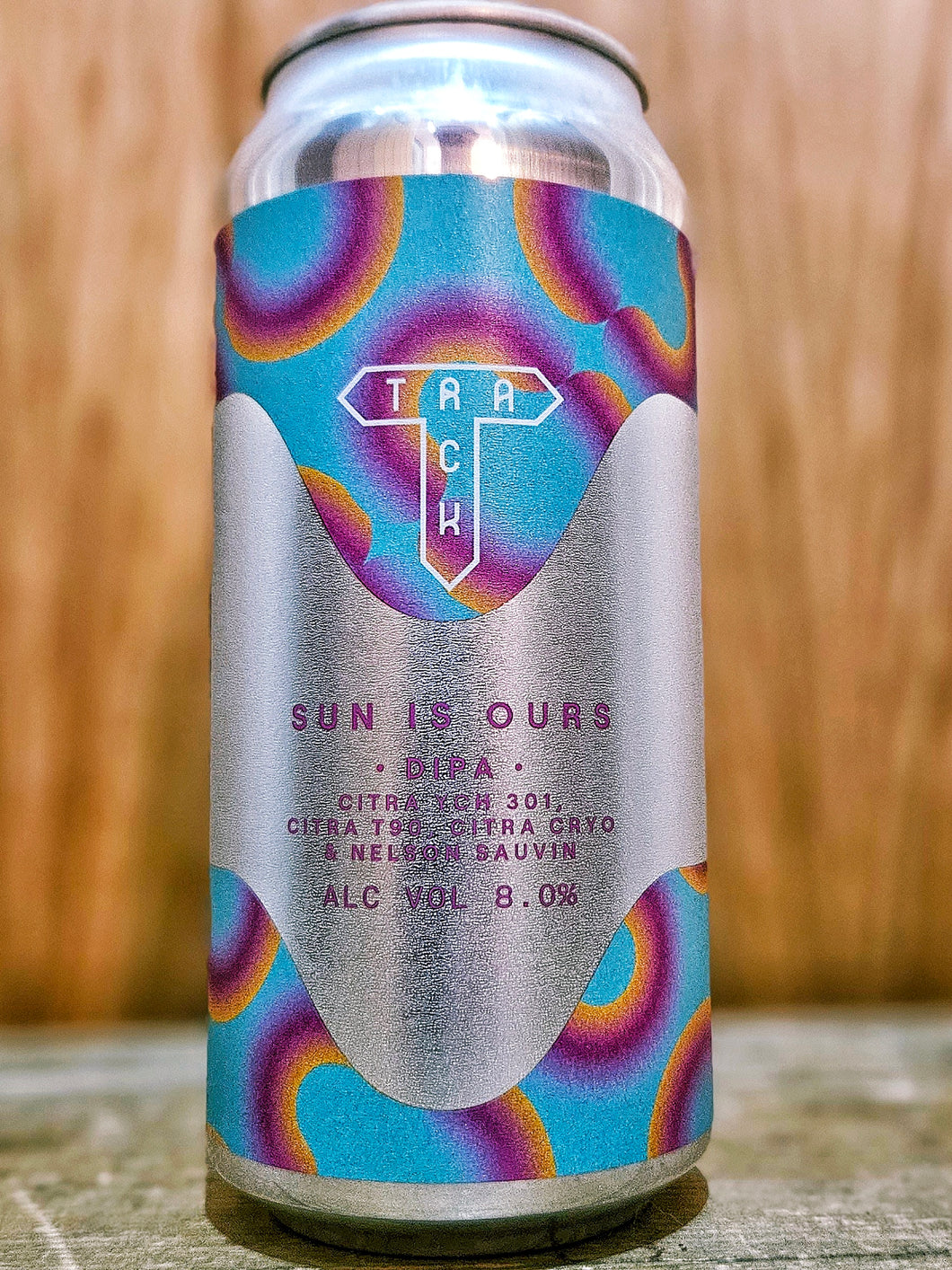 Track - Sun Is Ours