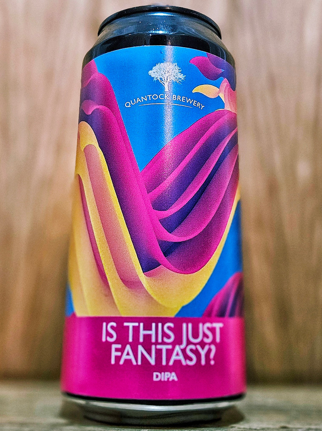 Quantock - Is This Just Fantasy