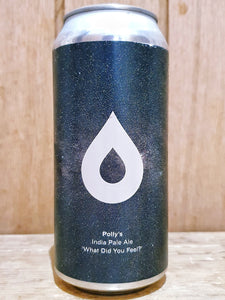 Polly’s Brew Co - What Did You Feel?