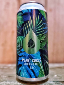Polly’s Brew Co - Plant Curls
