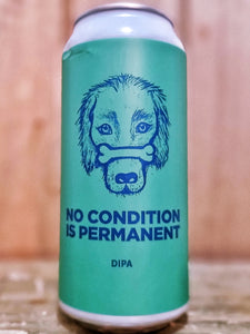 Pomona Island - No Condition Is Permenent