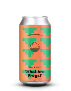 Cloudwater - What Are Frogs?