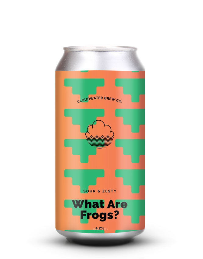 Cloudwater - What Are Frogs?